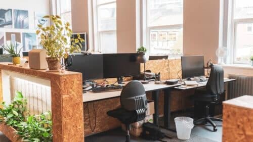 Et skrivebord i kontorfællesskabet Syndikatet omgivet på to sider af en plantevæg og store vinduesflader på en anden.