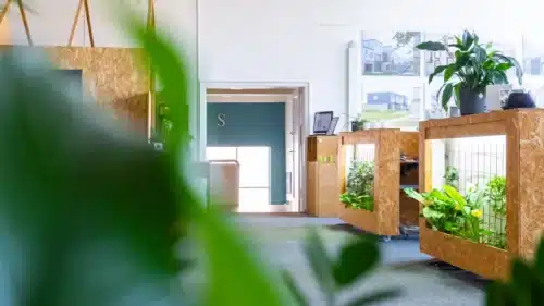 Modern office interior featuring wooden plant displays, green foliage, and a spacious entrance with natural light. The design emphasizes a blend of nature and contemporary workspace aesthetics.